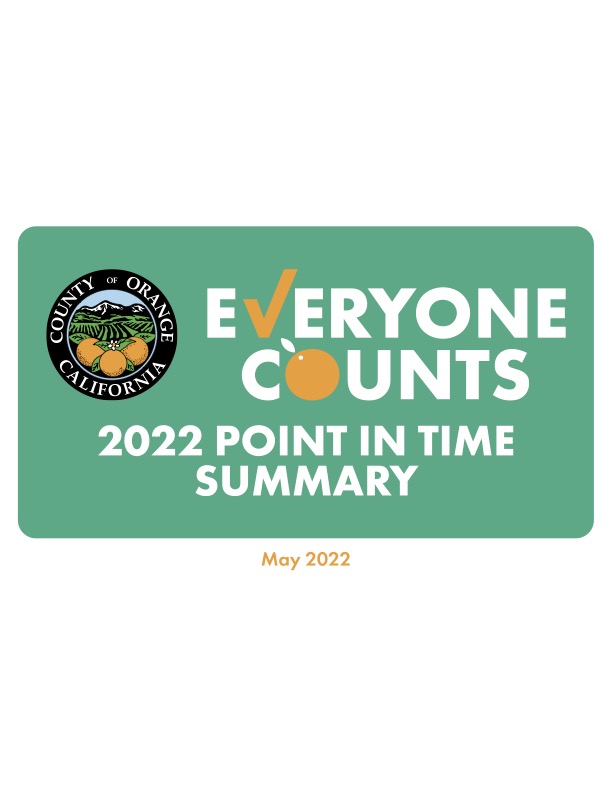 Point in Time Summary Report 2022